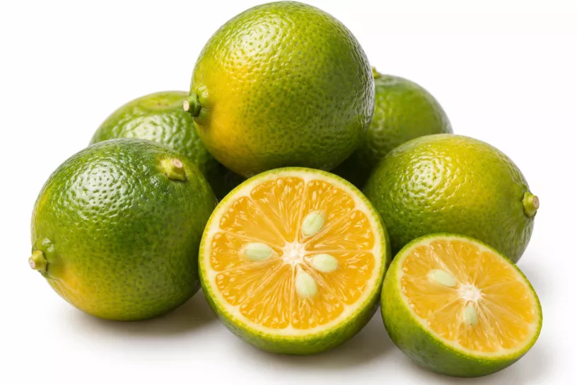xxcsdv