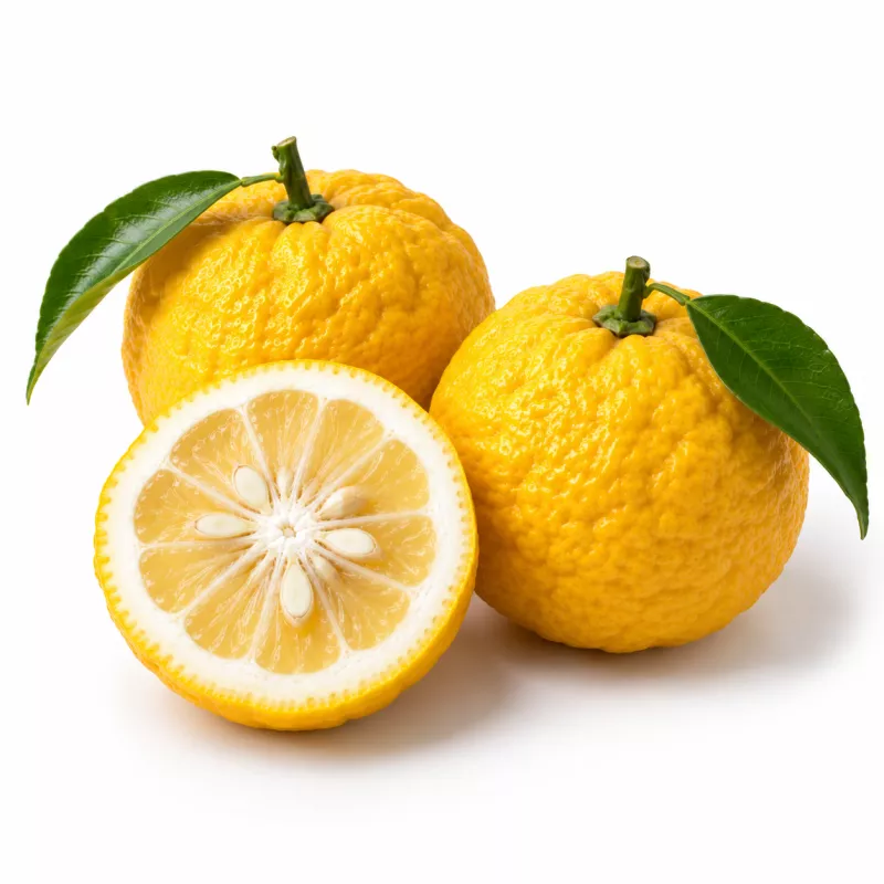 wws